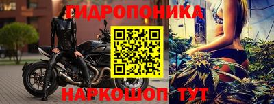 шишки Заводоуковск