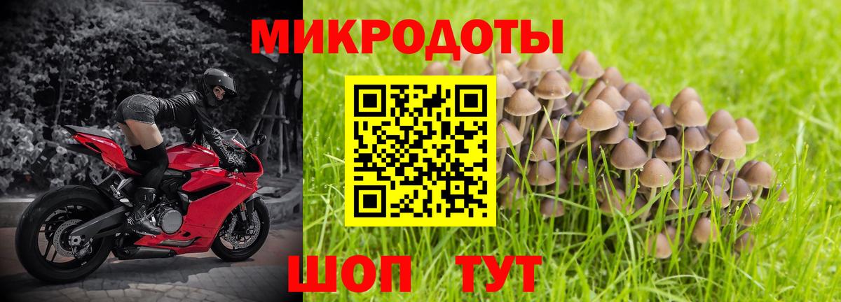 Псилоцибиновые грибы прущие грибы Шарыпово