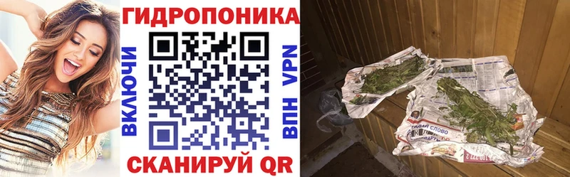 Шишки марихуана марихуана  Шарыпово 